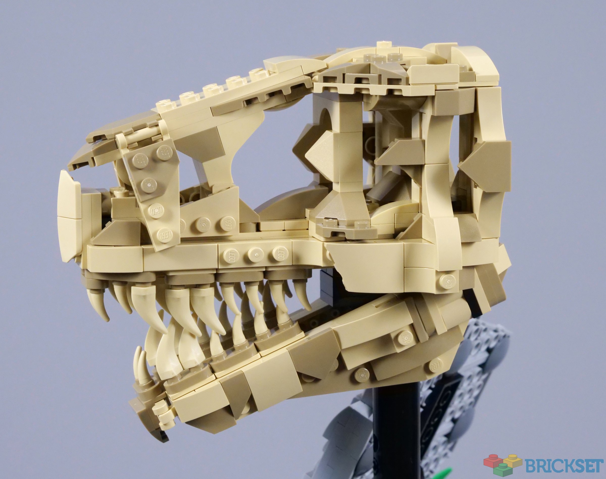 LEGO Jurassic World 76964 Dinosaur Fossils: T. rex Skull review